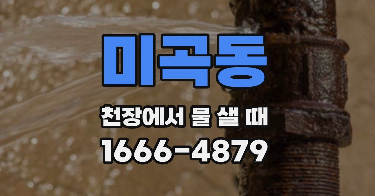 미곡동 천장에서 물 샐 때