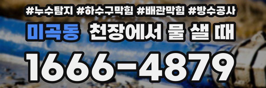 미곡동 천장에서 물 샐 때