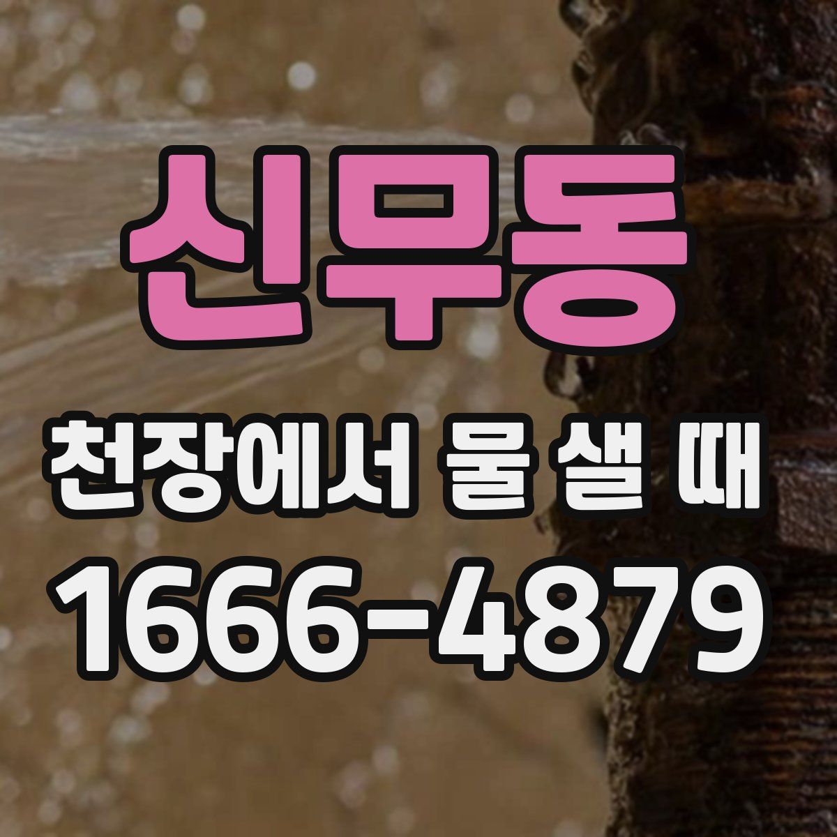 신무동 천장에서 물 샐 때