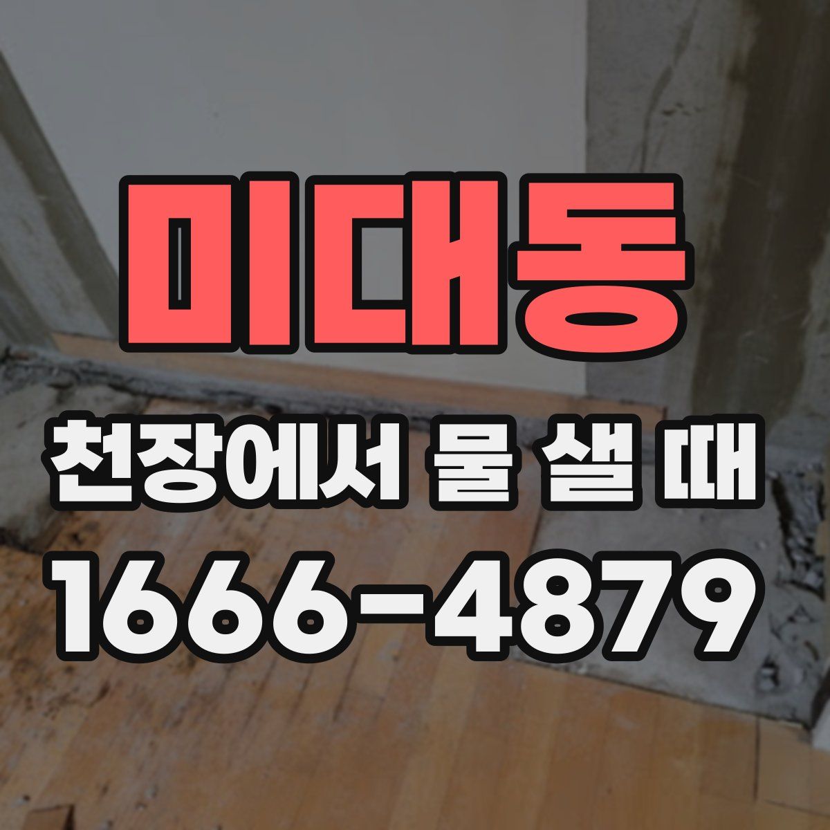 미대동 천장에서 물 샐 때