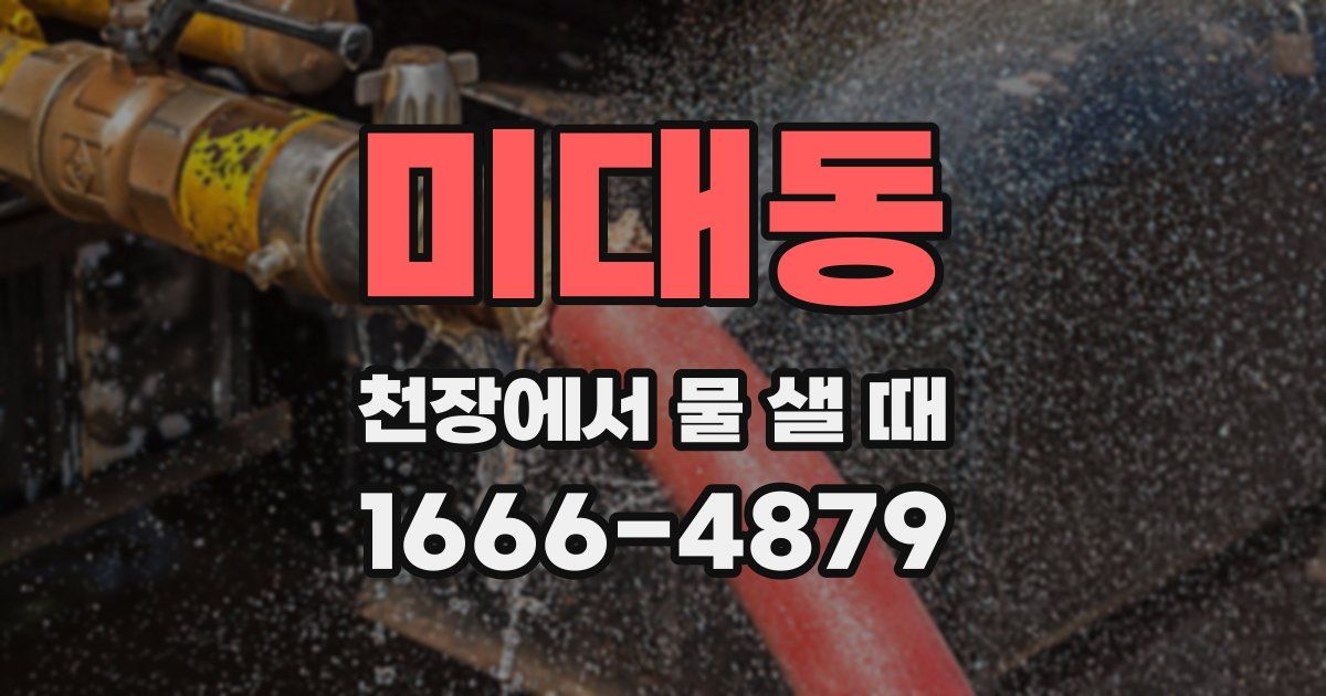 미대동 천장에서 물 샐 때