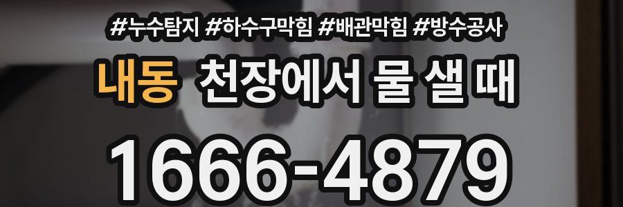 내동 천장에서 물 샐 때