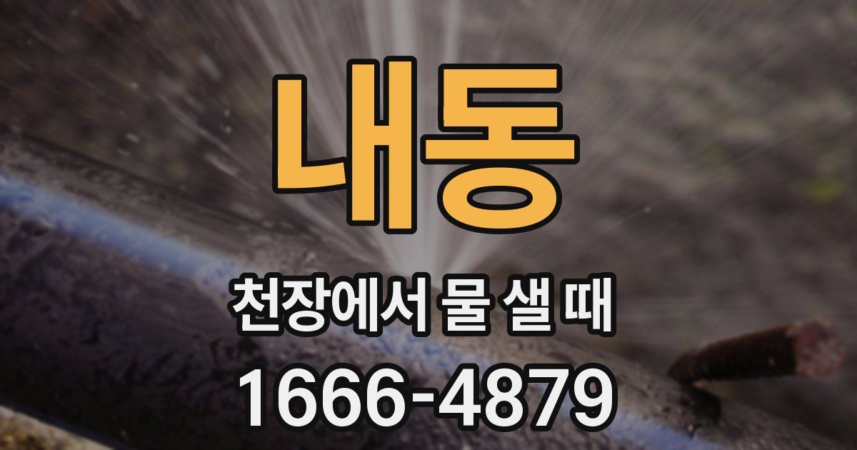 내동 천장에서 물 샐 때