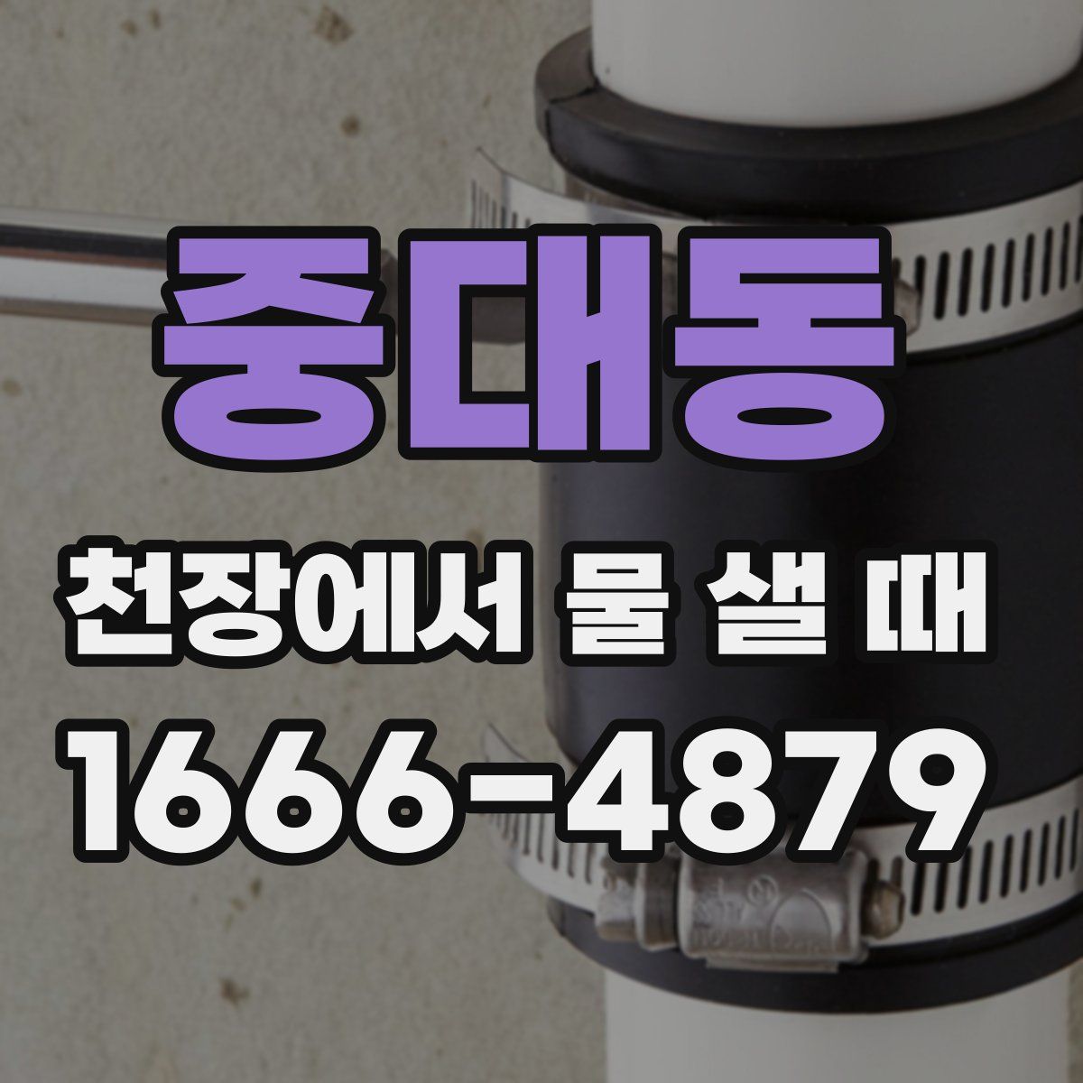 중대동 천장에서 물 샐 때