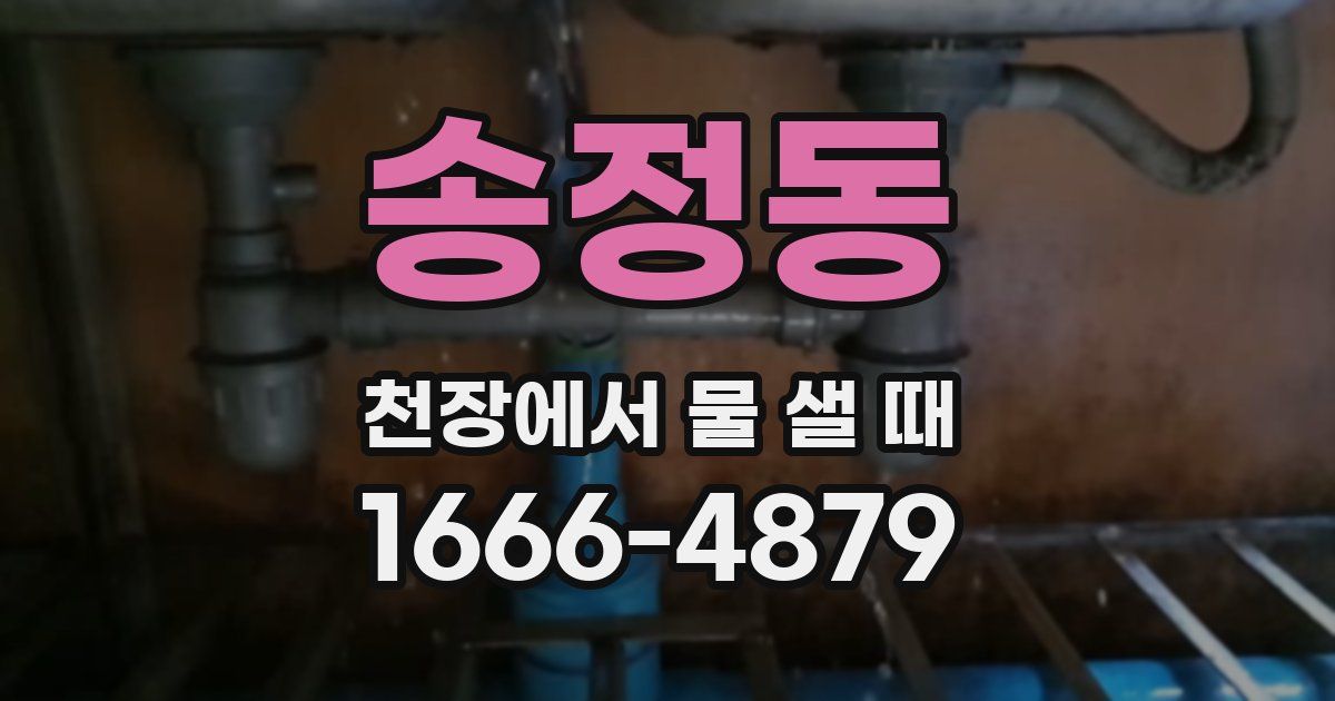 송정동 천장에서 물 샐 때