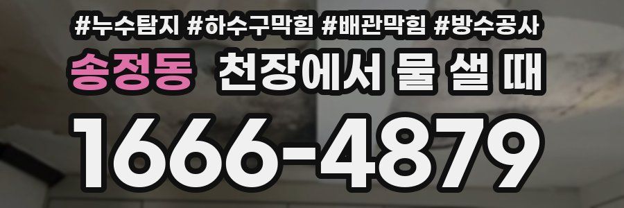 송정동 천장에서 물 샐 때