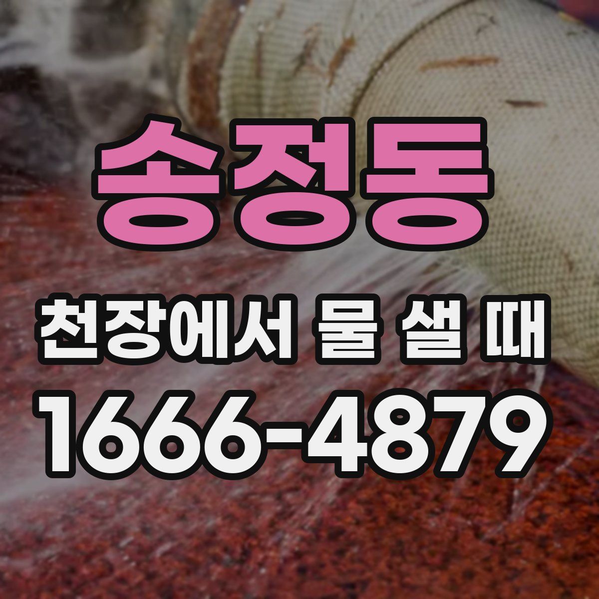 송정동 천장에서 물 샐 때