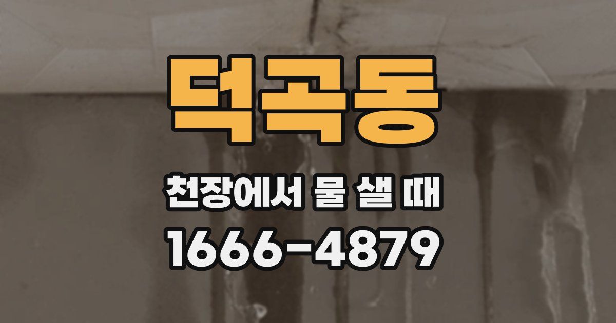 덕곡동 천장에서 물 샐 때