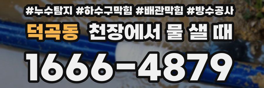 덕곡동 천장에서 물 샐 때
