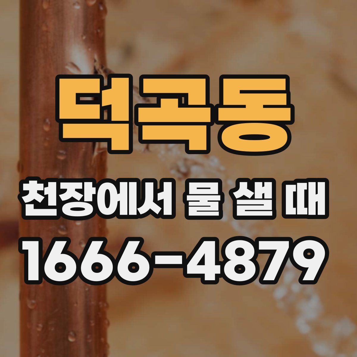 덕곡동 천장에서 물 샐 때