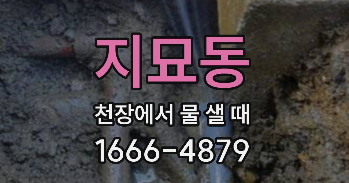 지묘동 천장에서 물 샐 때