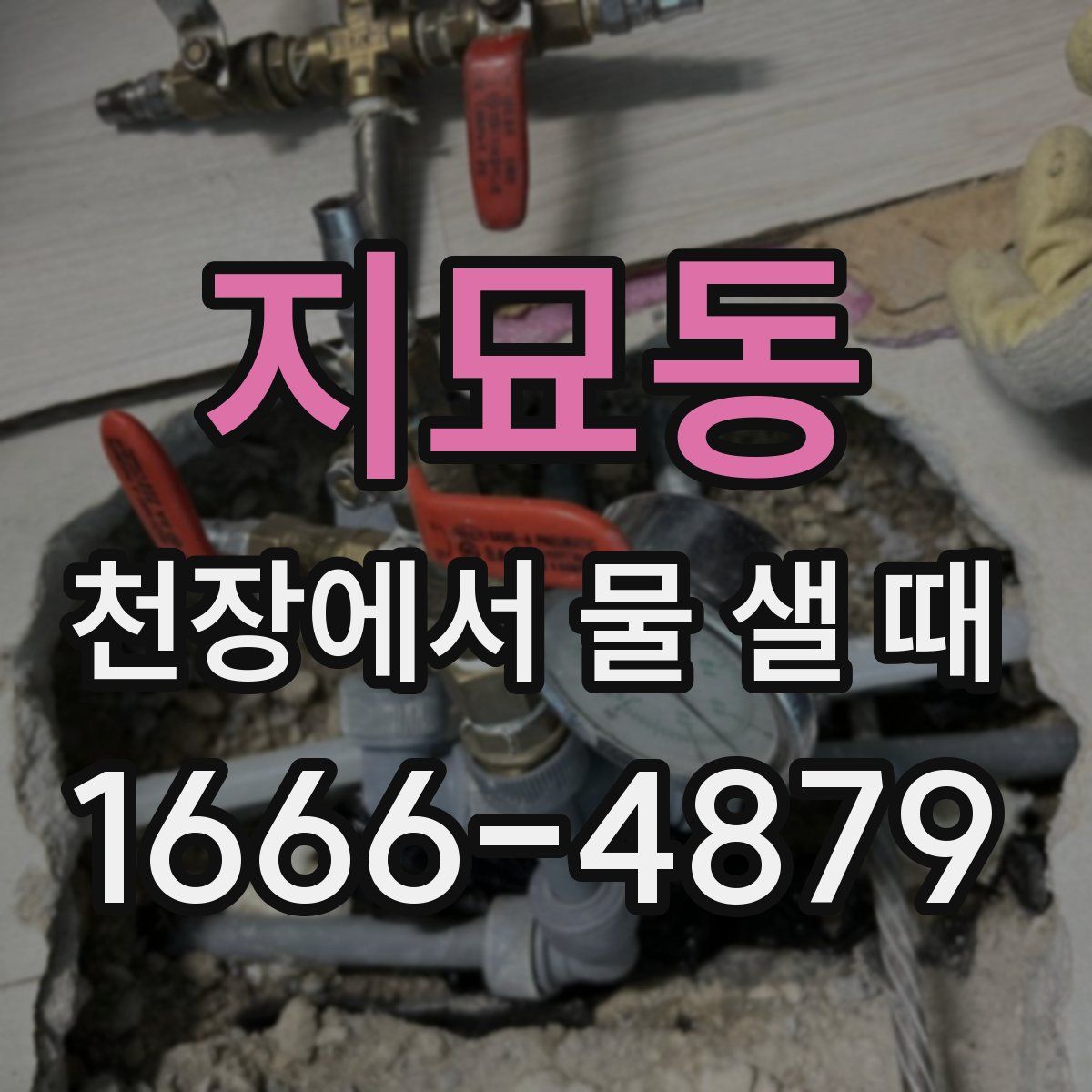 지묘동 천장에서 물 샐 때