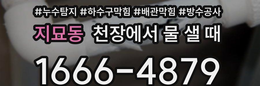 지묘동 천장에서 물 샐 때