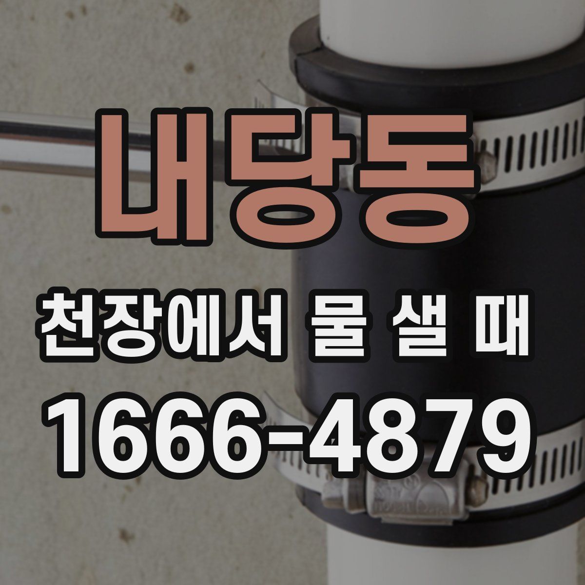 내당동 천장에서 물 샐 때