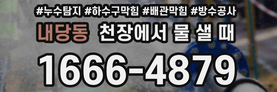 내당동 천장에서 물 샐 때