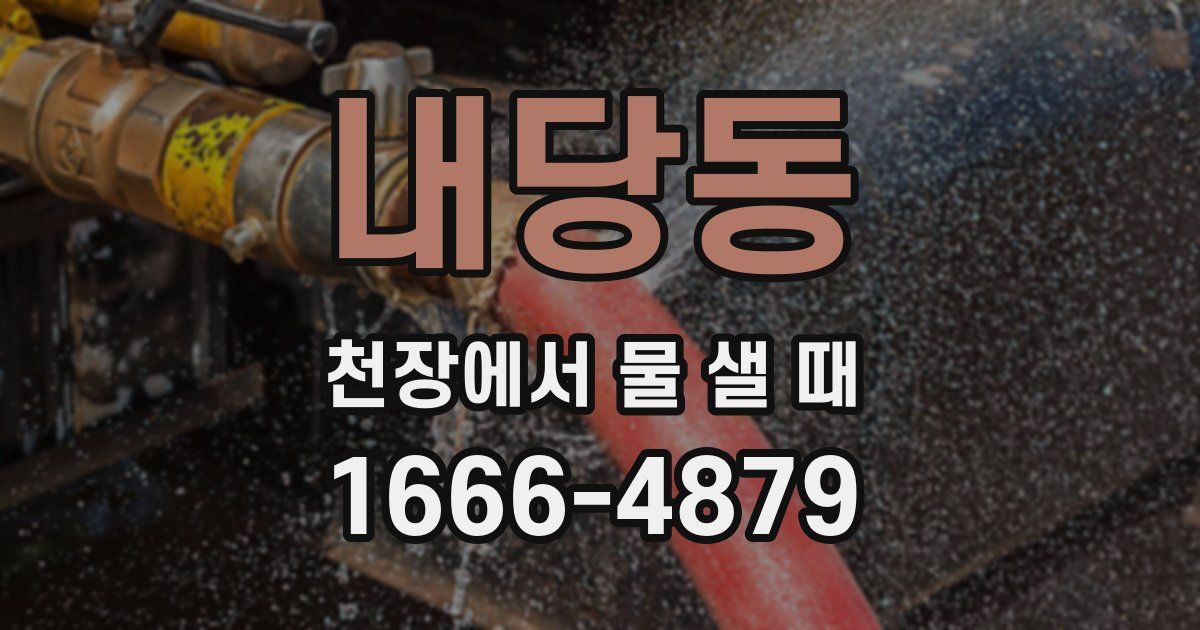 내당동 천장에서 물 샐 때