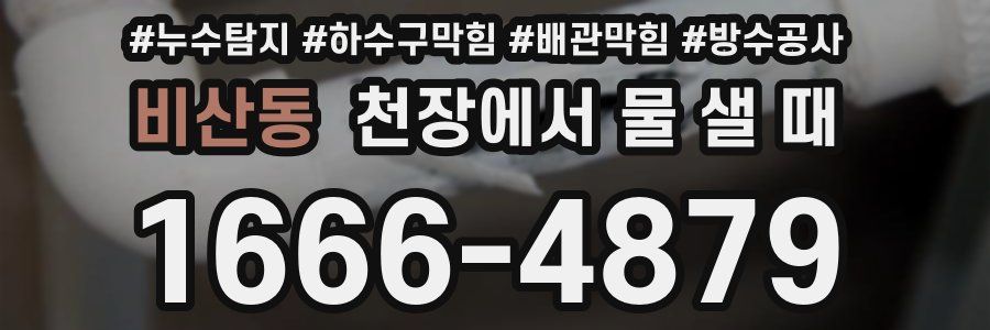 비산동 천장에서 물 샐 때