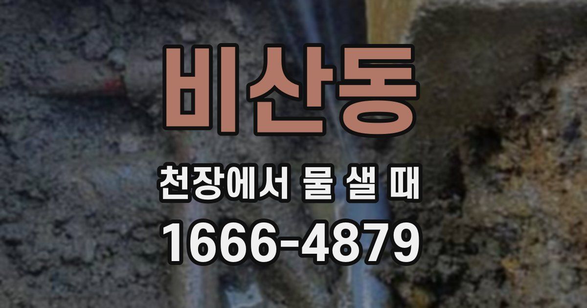 비산동 천장에서 물 샐 때