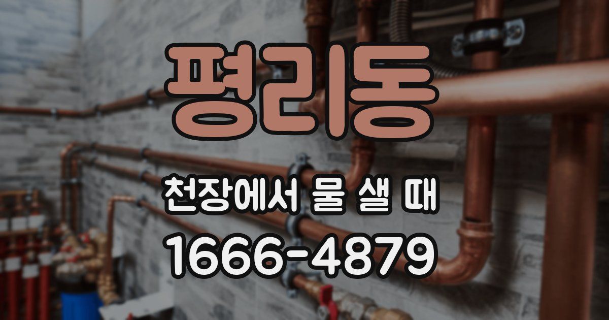 평리동 천장에서 물 샐 때