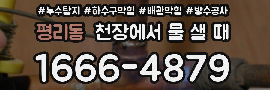 평리동 천장에서 물 샐 때