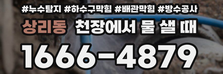 상리동 천장에서 물 샐 때