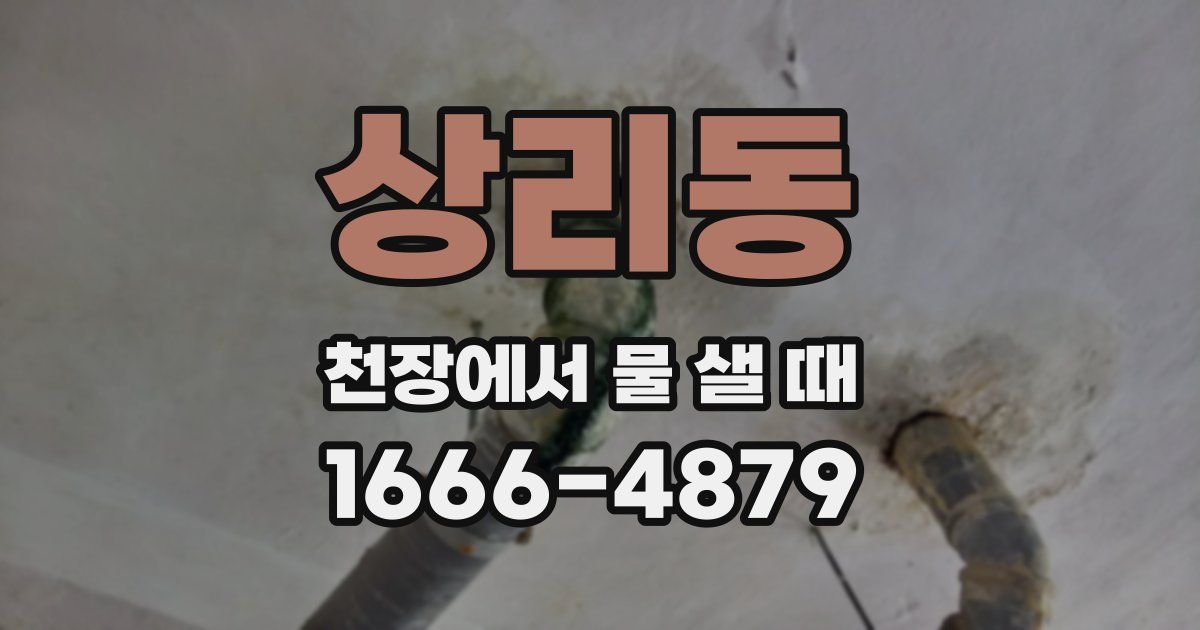 상리동 천장에서 물 샐 때