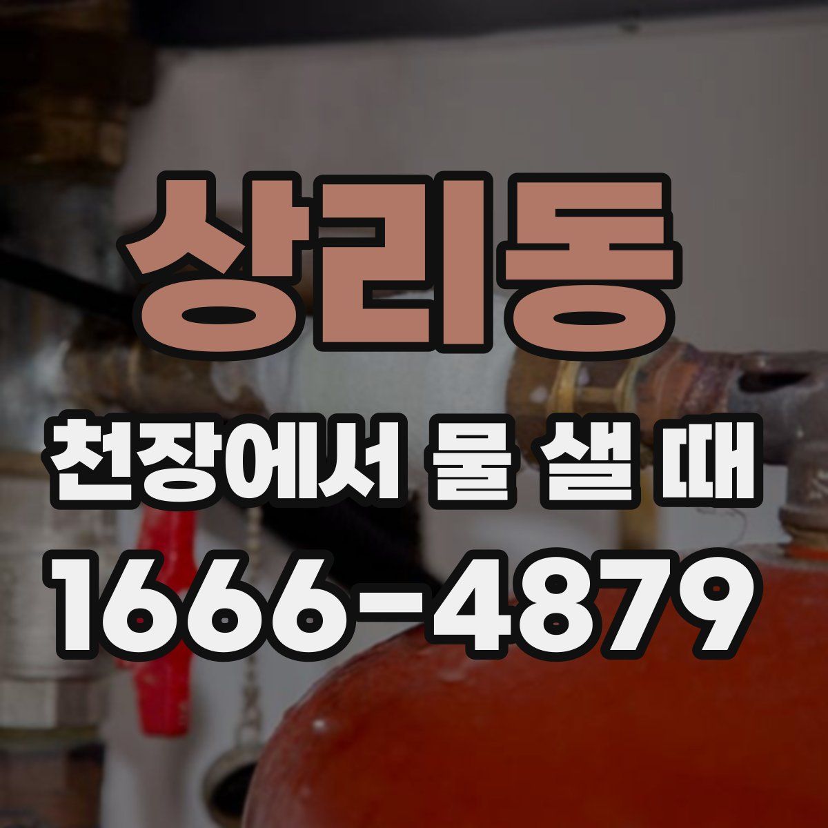 상리동 천장에서 물 샐 때