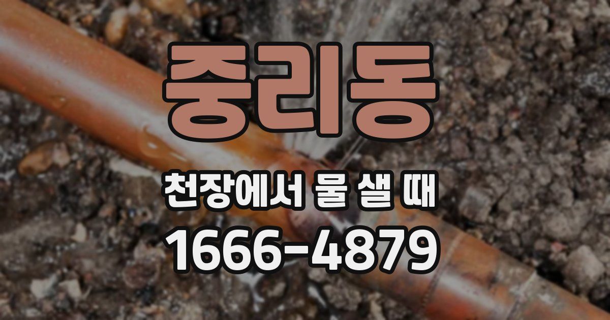 중리동 천장에서 물 샐 때
