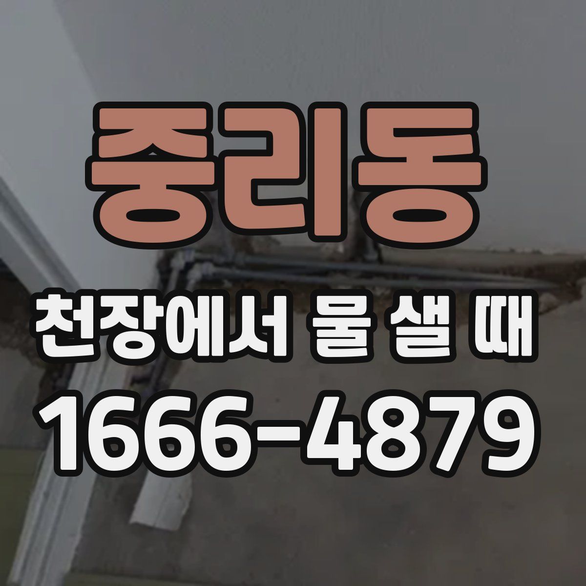 중리동 천장에서 물 샐 때
