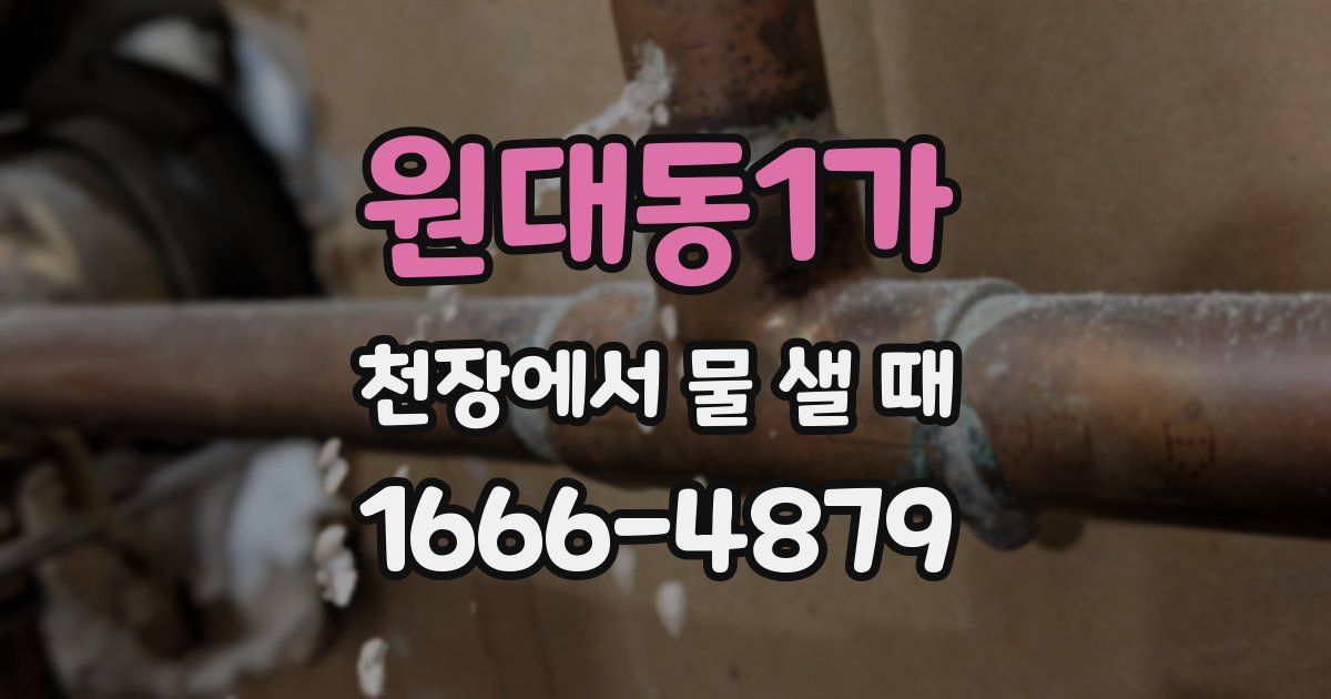 원대동1가 천장에서 물 샐 때
