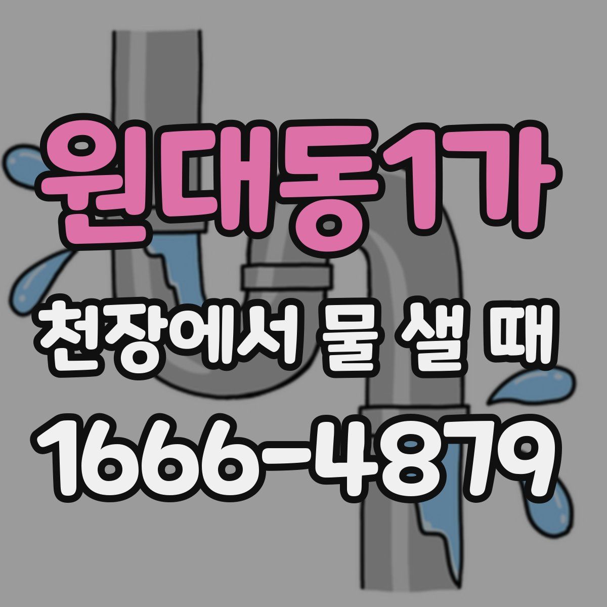 원대동1가 천장에서 물 샐 때