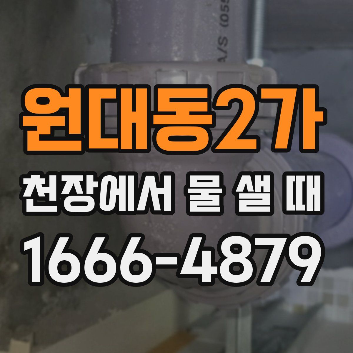 원대동2가 천장에서 물 샐 때
