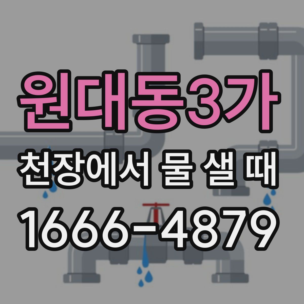 원대동3가 천장에서 물 샐 때