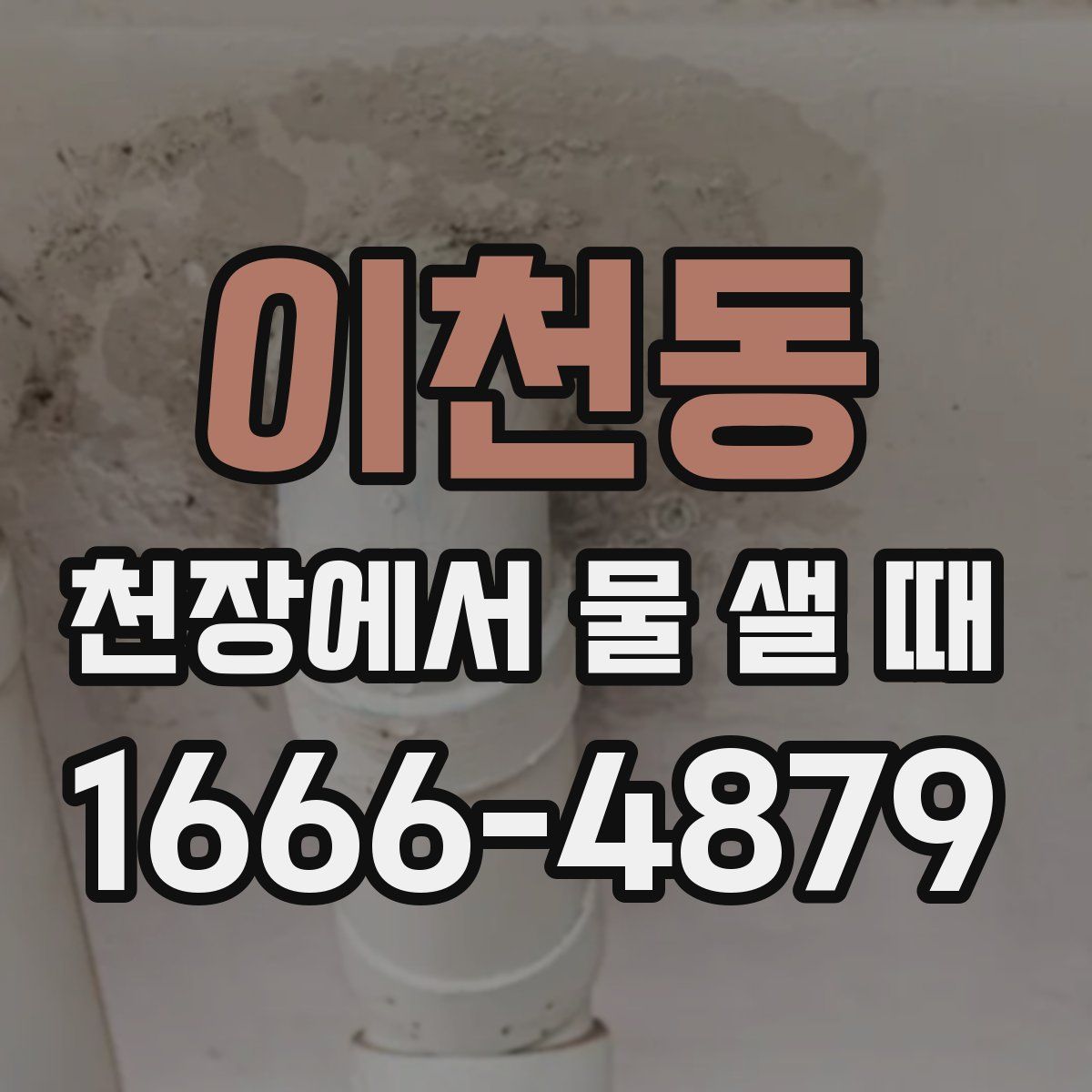 이천동 천장에서 물 샐 때