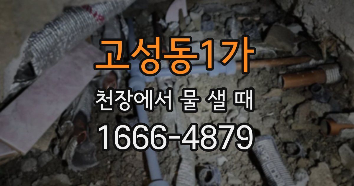 고성동1가 천장에서 물 샐 때