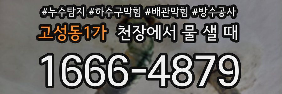 고성동1가 천장에서 물 샐 때