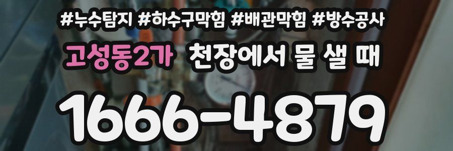 고성동2가 천장에서 물 샐 때