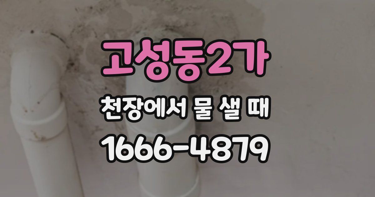 고성동2가 천장에서 물 샐 때
