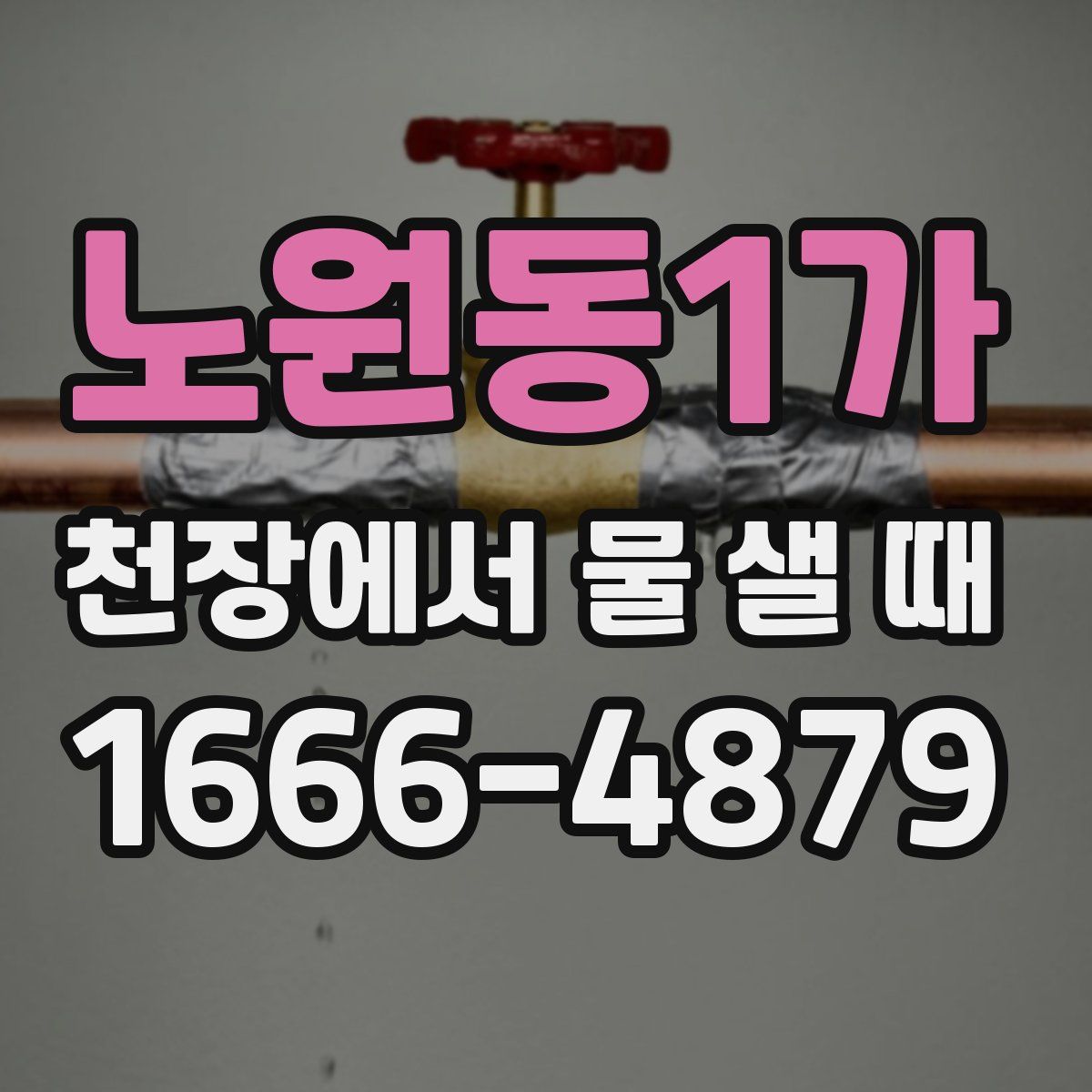 노원동1가 천장에서 물 샐 때