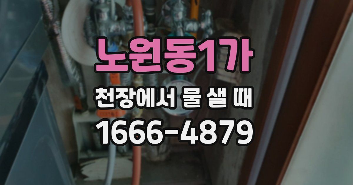 노원동1가 천장에서 물 샐 때