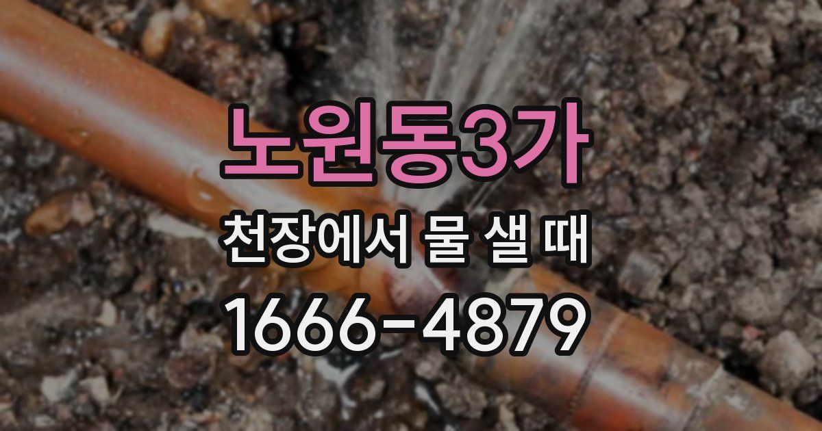 노원동3가 천장에서 물 샐 때