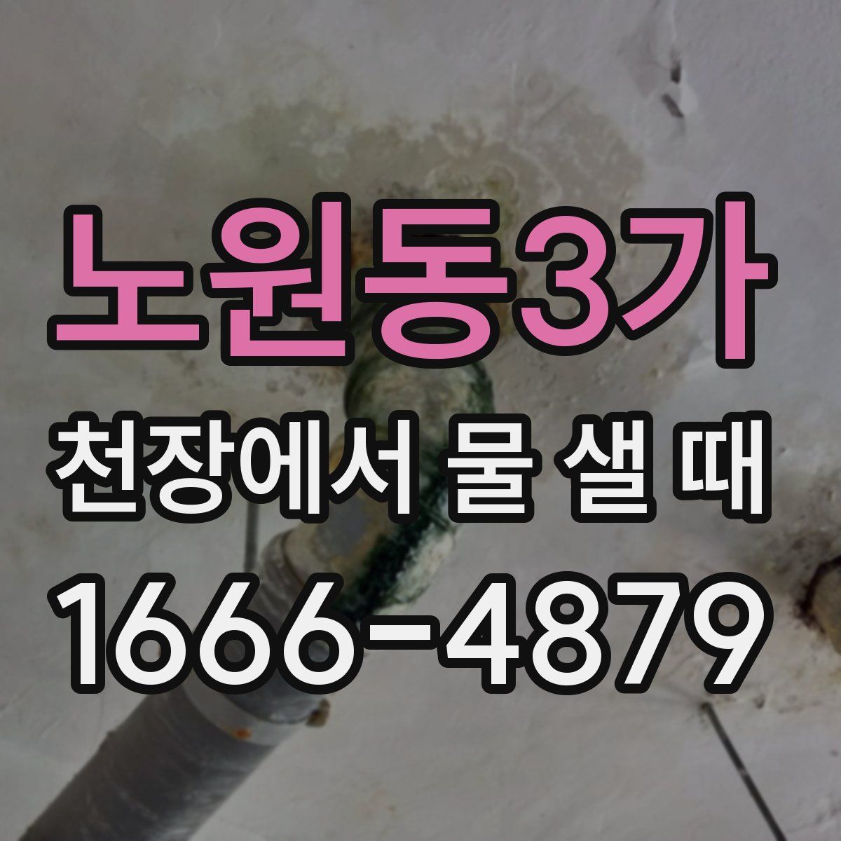 노원동3가 천장에서 물 샐 때