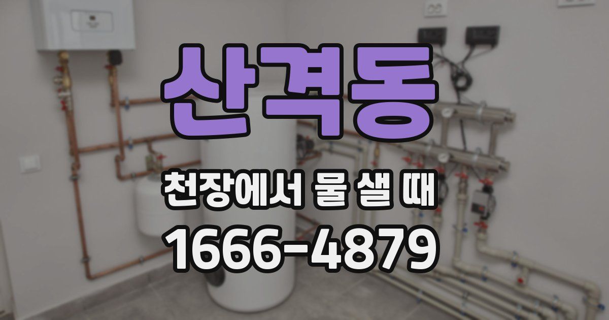 산격동 천장에서 물 샐 때