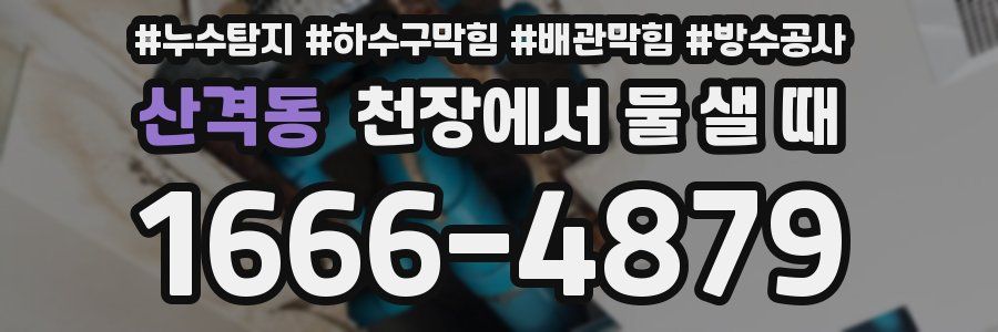 산격동 천장에서 물 샐 때