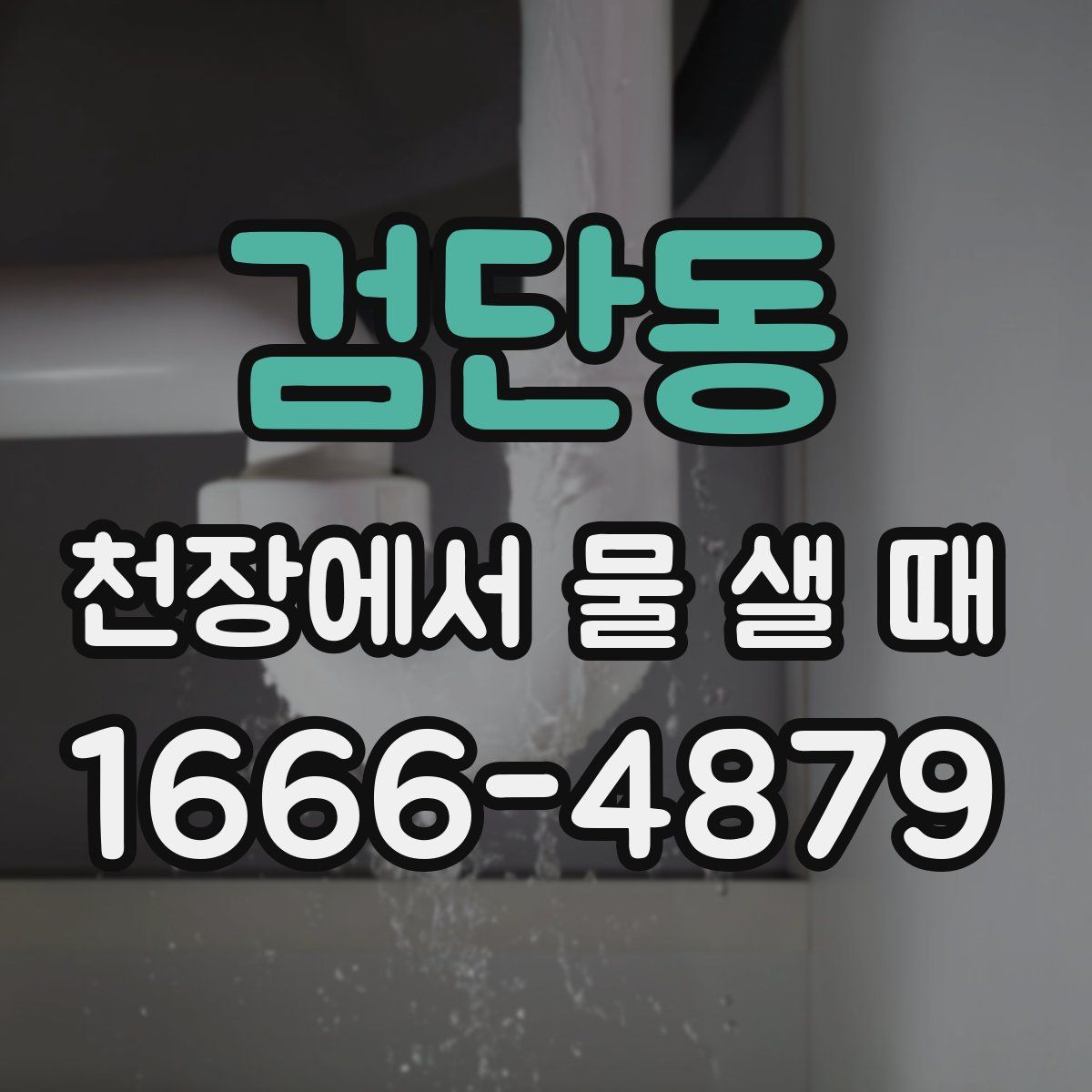 검단동 천장에서 물 샐 때