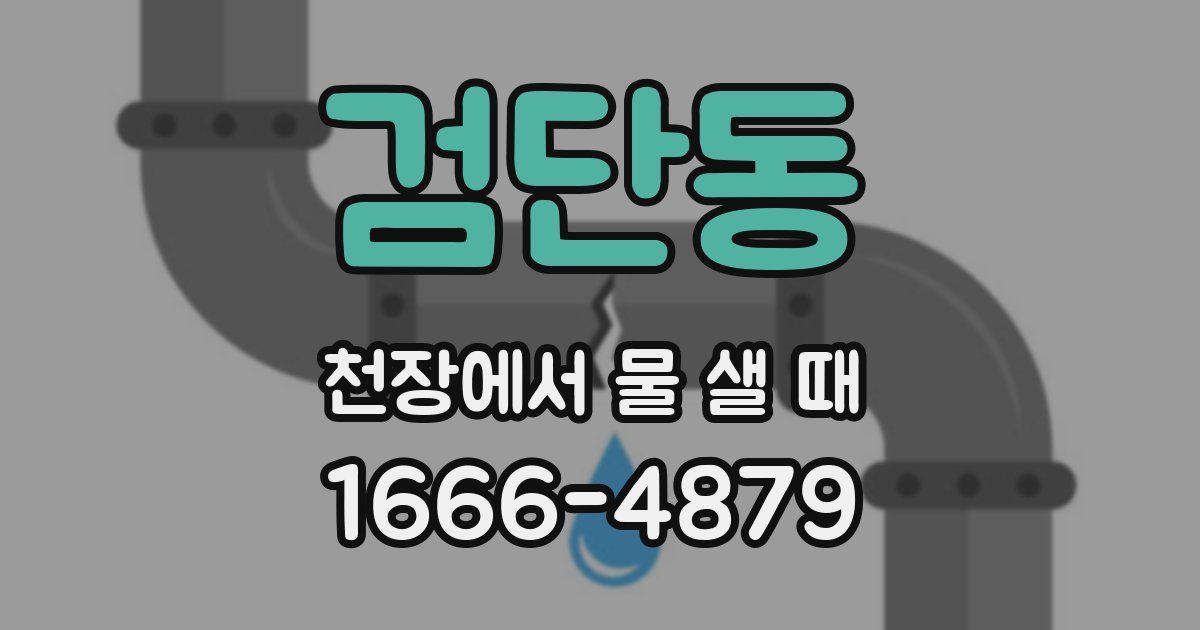 검단동 천장에서 물 샐 때