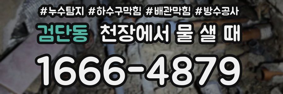 검단동 천장에서 물 샐 때