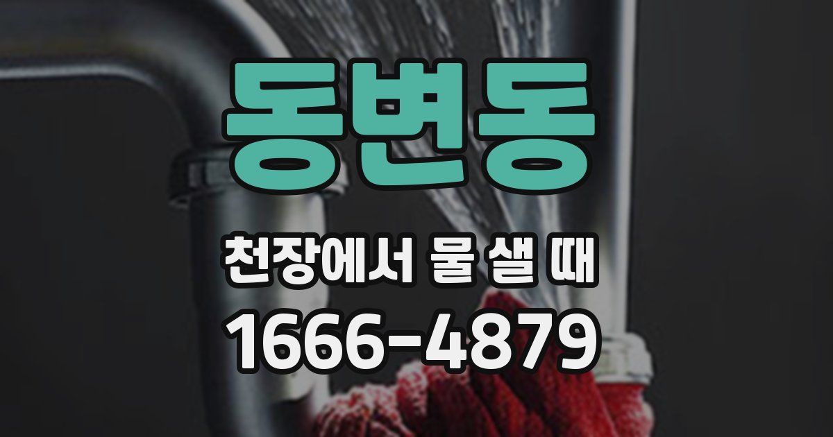 동변동 천장에서 물 샐 때