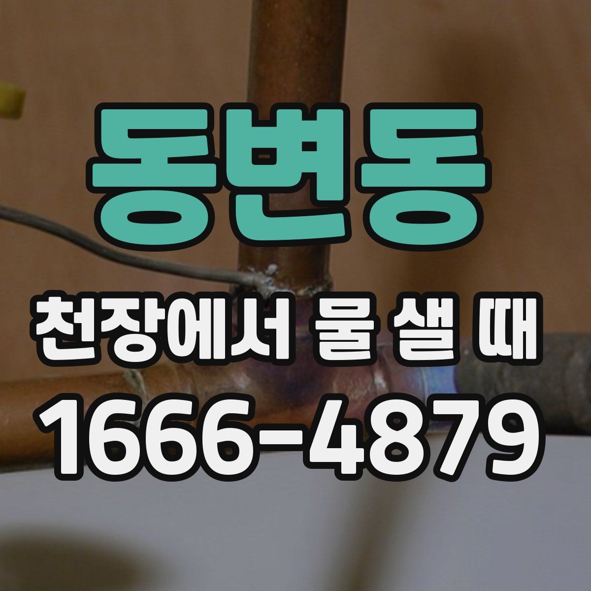 동변동 천장에서 물 샐 때