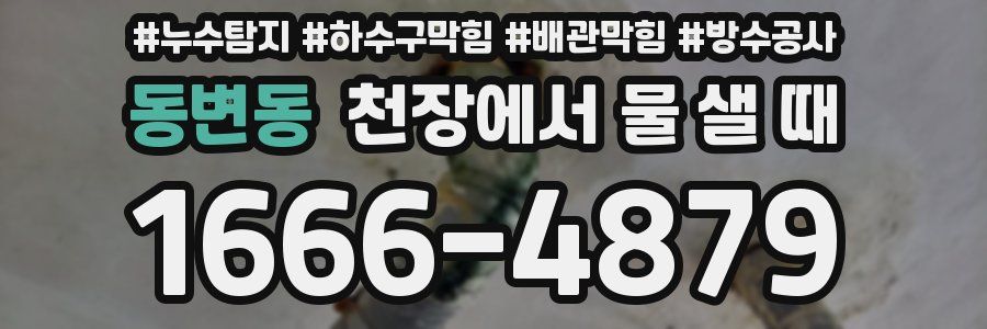동변동 천장에서 물 샐 때